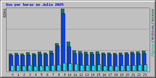 Uso por horas en Julio 2025