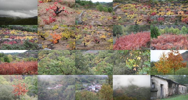 Indice de 2005-10-30