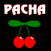 Pacha